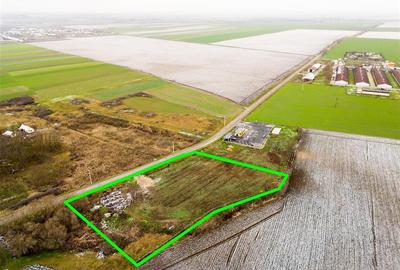 Teren intravilan de 5000 mp, în Roit