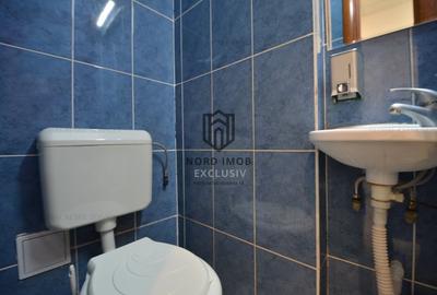 Inchiriere 242 mp | Imobil birouri Domenii | Comision 0%-Reprezentare Proprietar - 13