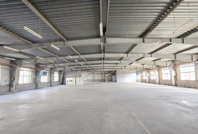 Platforma industriala cu teren 4ha, hale 2ha, curent 20MW, ideala data center - 1