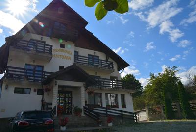Pensiune cu vedere spectaculoasa la muntii Bucegi - 2