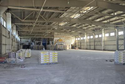 Proprietate industriala: depozitare 6.649 mp + birouri 864 mp / teren 18.844 mp - 7