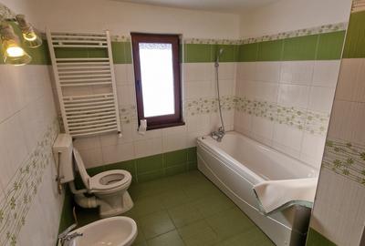 Vindem proprietate in orasul Frasin, Bucsoaia - Bucovina - 6