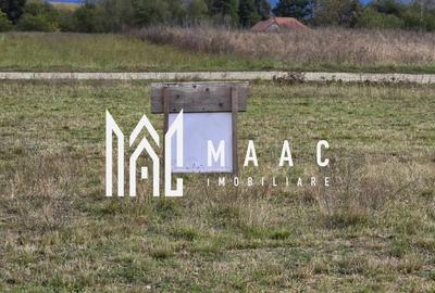 Teren parcelat | 2400 mp | Extravilan | Șelimbăr - 3