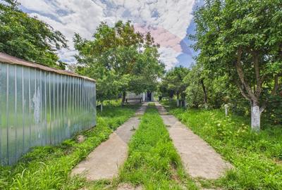 Casă 65 mp + teren 4000 mp, livadă, Butimanu - 17