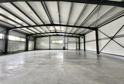 Spațiu industrial, de 600.00 mp, în Ampoi 1