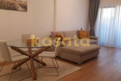 Apartament 2 camere de inchiriat Herastrau - 2