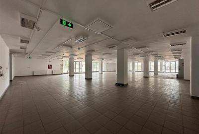 Hala, showroom sos. Pacurari Iasi, zona Mall Moldova, 1310mp - 3