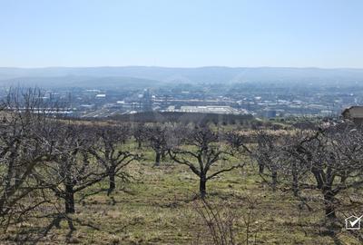 Teren intravilan, Auchan - Iris - 2
