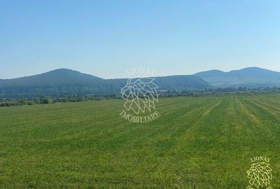 Teren 3000 mp la DN 17-investitie-Sieu-Magherus - 4