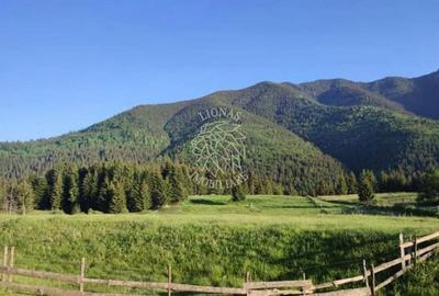Teren PIATRA FANTANELE - 11.800 mp- ideal investitie, pensiune, hotel - 2