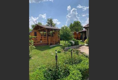 House in Brebi, Sălaj - 6