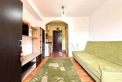 Garsoniera-renovata-mobilata si utilata-Torontal - 1