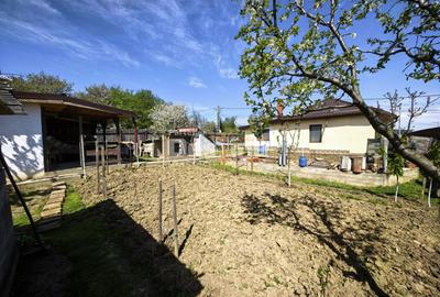 Casă 4 camere plan parter cu beci și anexe + 720 mp curte - 19