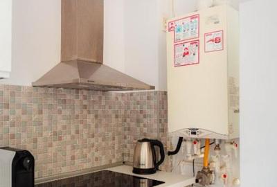 Chirie 2 camere LUX 11 iunie / Parcul Carol - 17