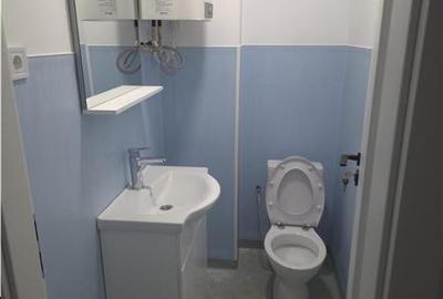 Inchiriere depozit/hala/spatiu industrial Popesti Leordeni - soseaua Oltenitei - - 16