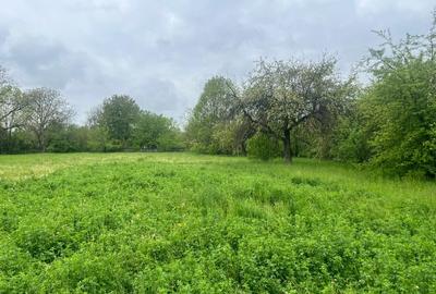 Teren de vânzare – Comuna Brebu, zonă centrală – 2700 mp - 5