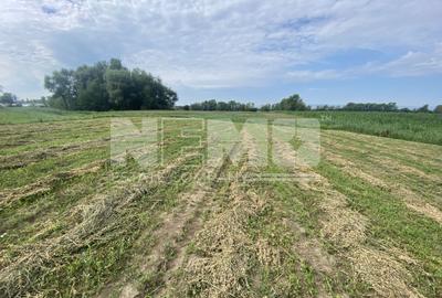 Teren Extravilan | 23 Ari | Satu Mare | Suceava - 3