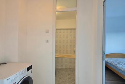 Calea Vacaresti,Parcul Tineretului - 5