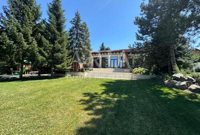 VILĂ INDIVIDUALA LAKEFRONT SNAGOV | POOL - 10