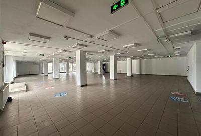 Hala, showroom sos. Pacurari Iasi, zona Mall Moldova, 1310mp - 18