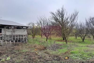 BARCANESTI -  casa +curte+teren 16k mp - 55