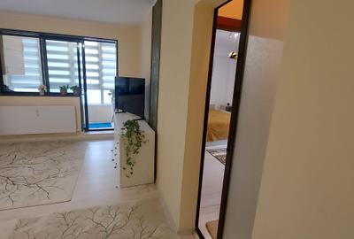 2 camere Dr Taberei Bucla- Totul renovat-Mobilat -Langa metrou - 8
