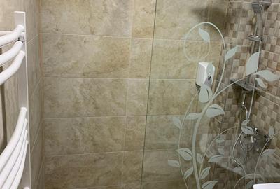 Se inchiriaza  in centru apartament cu doua camere, pret 400 euro lunar - 11
