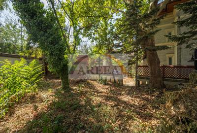 ULTRACENTRAL - Vilă UNICĂ și cu POTENȚIAL uriaș, o poveste de succes - 33