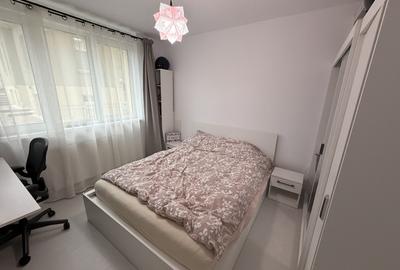 Apartament 2 camere, 45 mp, renovat, zona Eremia Grigorescu - 9
