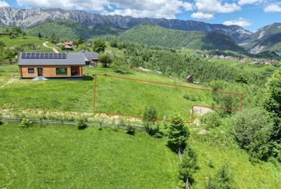 Teren intravilan 1400 mp in satul Pestera, Comuna Moieciu, zona Bran - 4