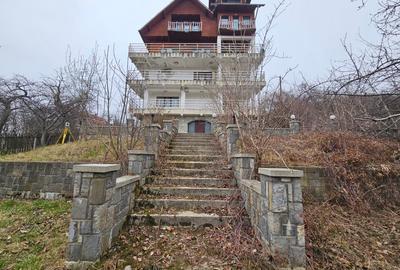 Casă cu 14 camere în Central