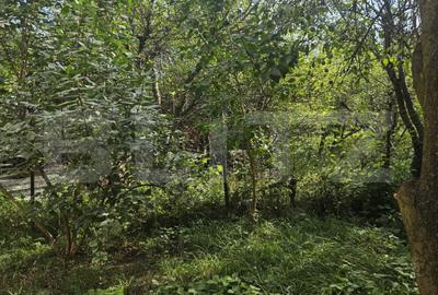 Casa individuala, 200 mp utili, 780 mp teren, zona TCI, Borhanci! - 18