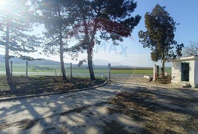 Spațiu industrial de 5,000mp de vânzare TULCEA 24.000MP intravilan - 11