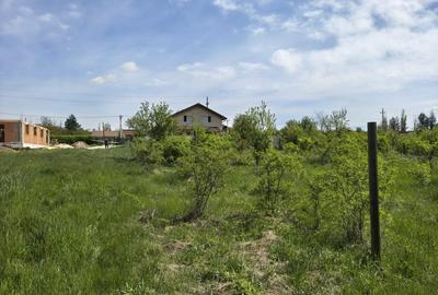 Teren intravilan 664 mp – Peris, Ilfov | Locatie linistita, ideal pentru casa - 8