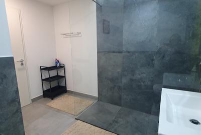 Inchiriere Apartament 2 Camere Iancu Nicolae - 29