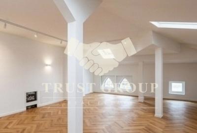 Casa individuala Gradina Icoanei | 2 Locuri Parcare | 253 mp curte libera - 3