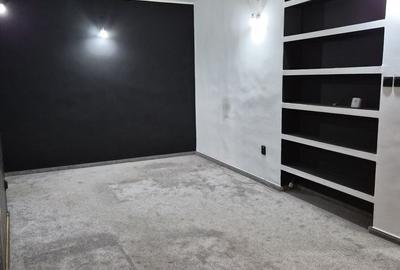 Casă individuală cu 11 camere în Parcul Carol