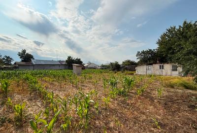 Casă 3 camere + anexe, teren 1700 mp, zona liniștită – Slobozia Ciorăști - 3