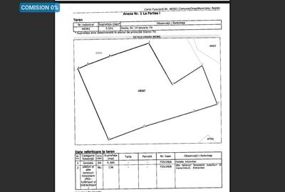 Teren intravilan pe drumul Lupacului 12 euro mp si 1069 mp extravilan - 1