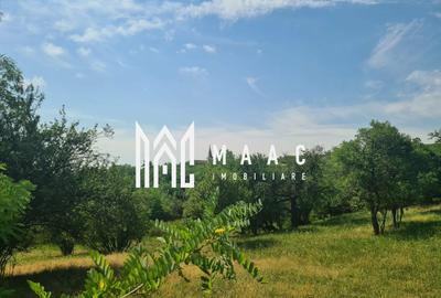 Teren | 12.922 MP | Loamneș - 3