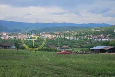 Teren agricol extravilan de 5000 mp, în Periferie