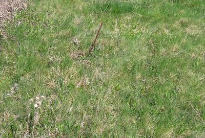 Teren extravilan 2000 mp, împrejmuit, panoramă superbă – Sălicea (Cluj) - 8