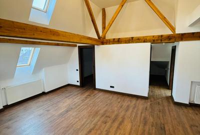 Apartament de vacanta (AP12)- TVA 0% - Vila in stil Neo-Romanesc - 3