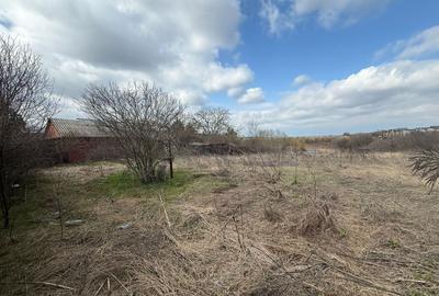 Teren de vanzare Caciulati Moara Vlasiei vedere lac - 6