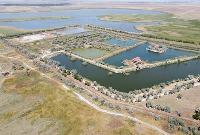 Oportunitate Unică! Teren de 35 Ha la 10E/mp cu Lacuri Medicinale și Acces Deltă - 1