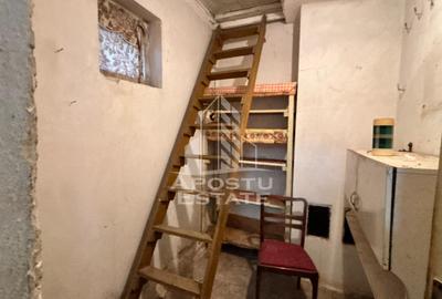 Casa individuala de vanzare, Ghiroda, Timisoara - 9