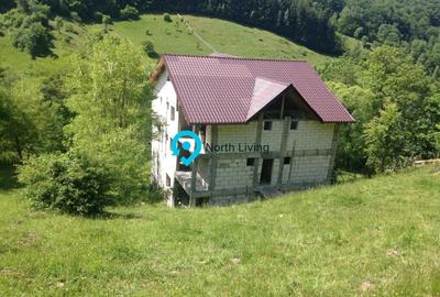 Casă individuală cu 10 camere în Dragoslavele