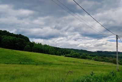 Teren la pădure, panoramic dealuri si păduri, curent si asfalt - 9
