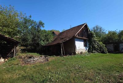Teren intravilan si cladiri in Lunca - 9