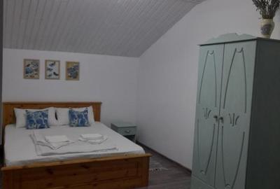 Casa de vacanță de vanzare Sasca montana - 6